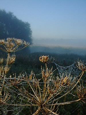 Picture 001-01