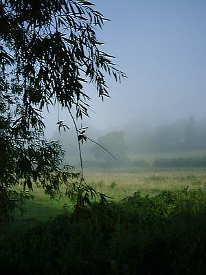 Picture 001-05