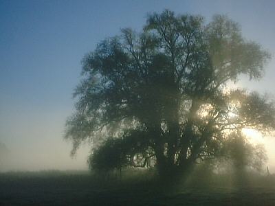 Picture 001-06
