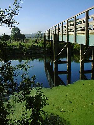 Picture 001-08