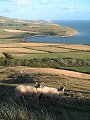 003-09 Tyneham and Worbarrow