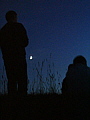 079-08 Glow-Worm Hunt, Hambledon Hill