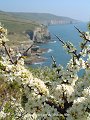 096-02 The Dorset Coast