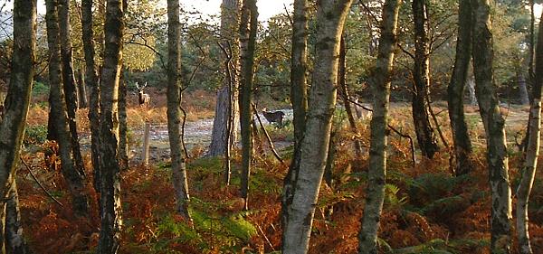 Picture 099-02
